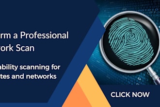 perform a professional network scan and vulnerability assessment