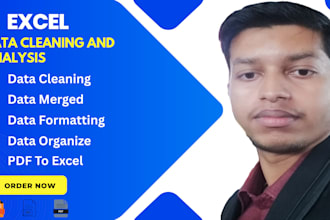 do excel data cleaning, merge, formatting, analysis and visualization