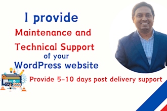 provide wordpress website maintenance and support