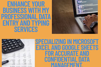 do accurate data entry, typing work, and receipt entry in excel or google
