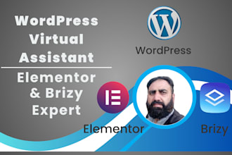 be your wordpress website manager and virtual assistant