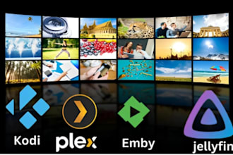 install plex media server, jellyfin, sonarr, radarr, emby, iptv, unraid server