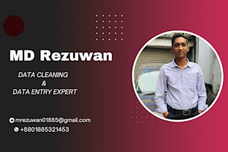 accurate data entry and excel data cleaning