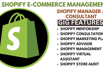 help with shopify answer be your shopify mentor shopify consultant coach expert