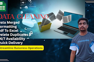 do data scrubbing, format, copy paste, excel cleaning work,