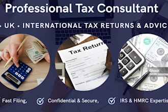 prepare your US tax returns, form 1120 and advisor as a CPA