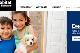 design charity website, donation website, non profit website on wordpress, wix