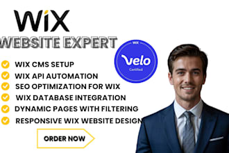 build wix cms dynamic pages velo code database collections API integration