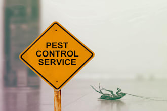 do pest control guest post on my home improvement site