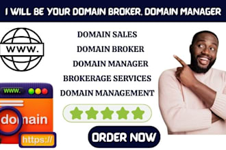 domain broker domain manager domain agent domain brokerage service domain