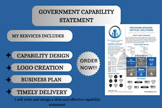 expertly design government capability statement, capability statement, flyers