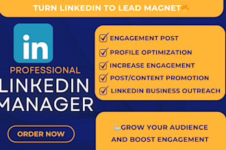 be your linkedin manager, optimize profile, design viral post, content creator