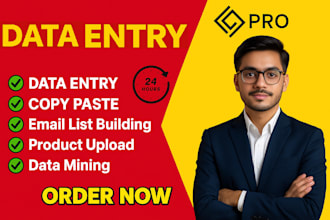 do data entry, copy paste, web research, excel data entry, PDF to excel
