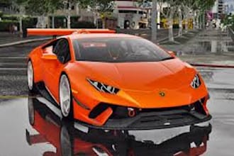 do fivem script, ped, clothing, chain, liveries, mlo, interior, gun,