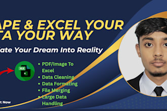do excel data cleaning, formatting and convert any PDF,image to excel accurately