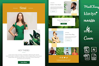 do professional mailchimp , klaviyo newsletter design and custom email templates