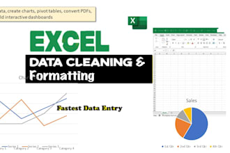 clean excel data, create charts, pivot tables, , and build dashboard