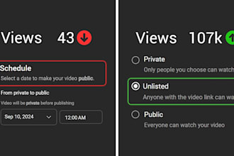 do youtube promotion, fix resue content and monetization issues