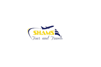 design unique and professional travel logo for your business