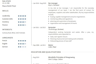 write or redesign a professional CV in english, romanian, german, french