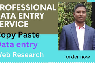 virtual assistant for data entry copy paste and admin tasks
