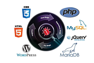 fix your wordpress, html, jquery, css, database bugs, core php, hosting, domain