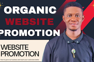 promote organic website traffic, shopify ads, ecommerce website promotion