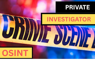 provide private investigation, osint and background check