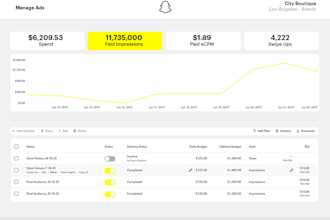 approved snapchat agency account, snapchat ads manager, business account