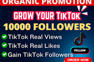 increase social media followers