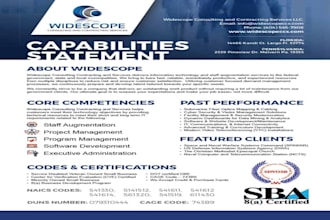 design effective and winning capability statement for government contract