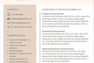 rewrite and translate your french or english CV