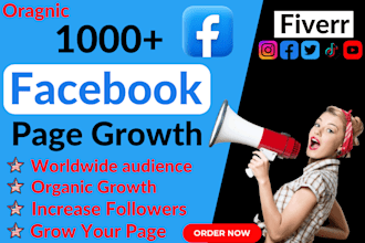 increase social media followers