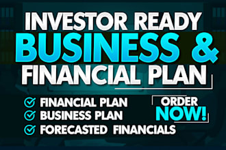 deliver investor ready business and financial plan, financial model, forecast