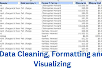 create pivot tables, clean data, and visualise the data