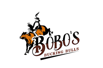 design creative bulls logo for your brand