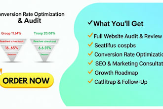 do indepth store audit conversion rate optimization shopify cro expert