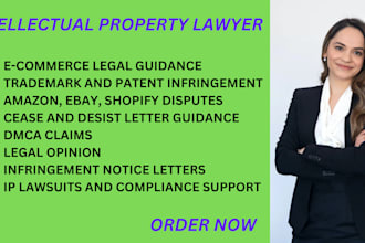 be your IP lawyer for trademark, copyright, patent and ecommerce disputes
