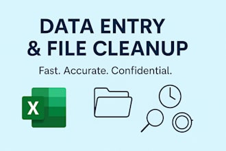 do professional data entry, file cleanup, and excel formatting