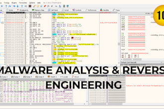 do malware analysis and reverse engineering with reporting