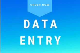 do any type of data entry and data analyst work