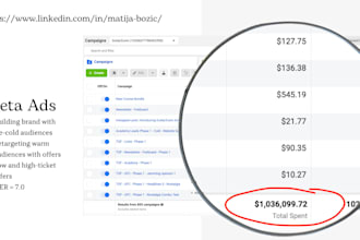 do a 1 hour marketing and ads consultation call
