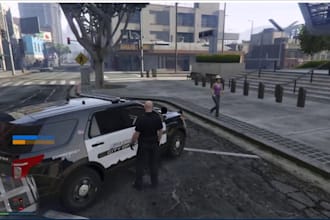 create a professional and perfect fivem roleplay server, script, mod for you