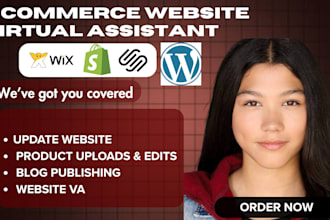 fix manage wordpress website, wordpress virtual assistant shopify design blogs