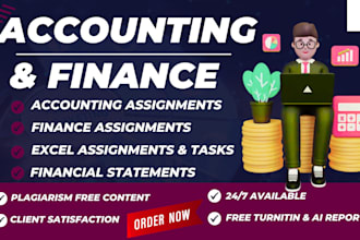 handle accounting finance assignments, excel reports and financial analysis task