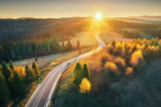 guide your career path for future
