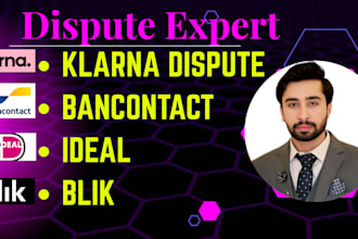 professionally handle klarna dispute customer service and other payment disputes