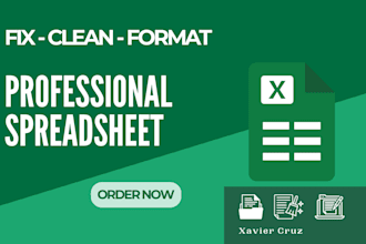 fix, clean, and format your excel spreadsheet professionally