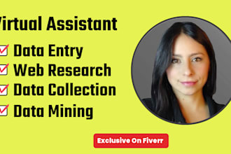 be your bilingual virtual assistant for data entry, web research and admin task
