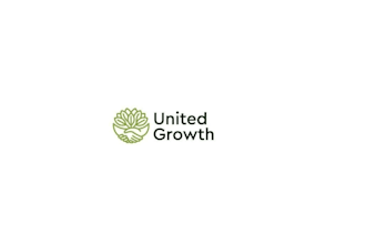 design high quality growth logo with express delivery